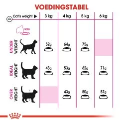 Royal Canin Protein Exigent Pour Chat 10kg -Alimen Tation Chats 0940f9380e24fd6977e0166039f34726c27c9abe12319f295b4029f84f5c8e3e
