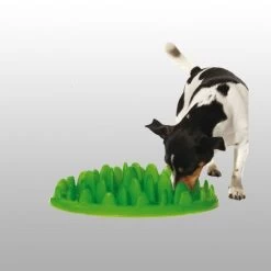 Gamelle Anti Glouton Northmate Green Karlie -Alimen Tation Chats 0e170f08ea861902a2f0704ec052fb807ffc87d99f80b18fd669935838687c85