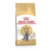Royal Canin British Shorthair 2kg -Alimen Tation Chats 187f070b92557cde9a8fa22c620fdc090a70fafb63b62c6dbfea736d968d7358
