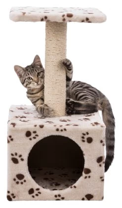Trixie Junior Arbre À Chat Zamora 60 Cm -Alimen Tation Chats 296430a49650021715428d96024094018a9344f44bd305f178e0c7dc9eaccf76