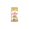 Royal Canin Ragdoll Adult Pour Chat 10kg 1 Royal Canin Ragdoll Adult Pour Chat 10kg -Alimen Tation Chats 2d098f6844eca22da2d73c11859ebe1852bbf70b5c255cd17d416fb4f8c585cb