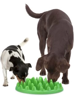 Flamingo Gamelle Anti-glouton Northmate Green Vert 40x30x10cm -Alimen Tation Chats 3bd69df38c899d0127b8891c10859befa4b75c6b60e1a92b37e8a12483df8c13