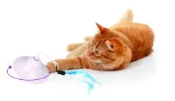 Flamingo Jouet Chat Scully Electro Dia. 9,7cm -Alimen Tation Chats 3d4ac882144732a573bc9a9fe49e8486bec0b72ce14c568f12cc401fda006346