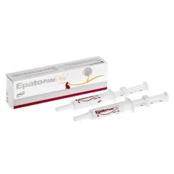 EPATO PÂTE 2 SERINGUES DE 15ML -Alimen Tation Chats 4430009 1 seringue 2x15ml 1