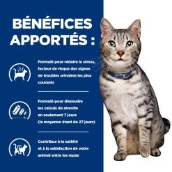 Hill's Prescription Diet C/D Urinay Stress + Metabolic Croquettes Pour Chat Au Poulet 17 Hill's Prescription Diet C/D Urinay Stress + Metabolic Croquettes Pour Chat Au Poulet -Alimen Tation Chats 52742037417 4 prescription diet chat urinary stress metabolic croquettes