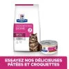 Hill's Prescription Diet Gastrointestinal Biome Croquettes Pour Chat Au Poulet 2 Hill's Prescription Diet Gastrointestinal Biome Croquettes Pour Chat Au Poulet -Alimen Tation Chats 52742042084 5 FR