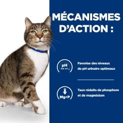 Hill's Prescription Diet S/D Urinary Croquettes Pour Chat Au Poulet 14 Hill's Prescription Diet S/D Urinary Croquettes Pour Chat Au Poulet -Alimen Tation Chats 52742042473 4 prescription diet chat s d croquettes poulet