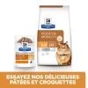 Hill's Prescription Diet K/D + Mobility Croquettes Pour Chat Au Poulet 1 Hill's Prescription Diet K/D + Mobility Croquettes Pour Chat Au Poulet -Alimen Tation Chats 52742044767 3 prescription diet chat k d mobility croquettes poulet