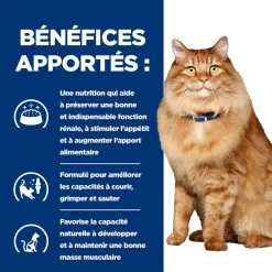 Hill's Prescription Diet K/D + Mobility Croquettes Pour Chat Au Poulet 16 Hill's Prescription Diet K/D + Mobility Croquettes Pour Chat Au Poulet -Alimen Tation Chats 52742044767 4 prescription diet chat k d mobility croquettes poulet