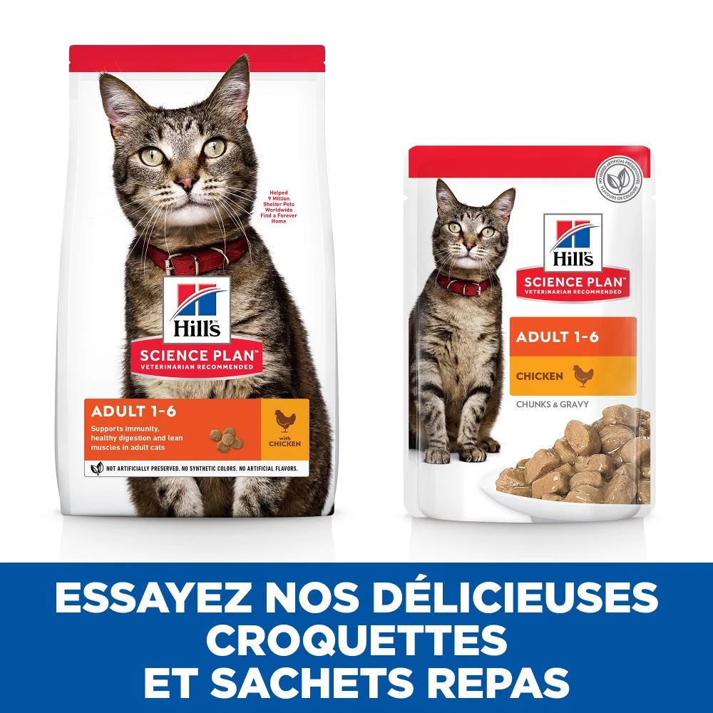 Hill's Science Plan Adult Multipack 12 Sachets De 85gr Repas Pour Chat Poulet, Bœuf Et Poisson 10 Hill's Science Plan Adult Multipack 12 Sachets De 85gr Repas Pour Chat Poulet, Bœuf Et Poisson – Image 8