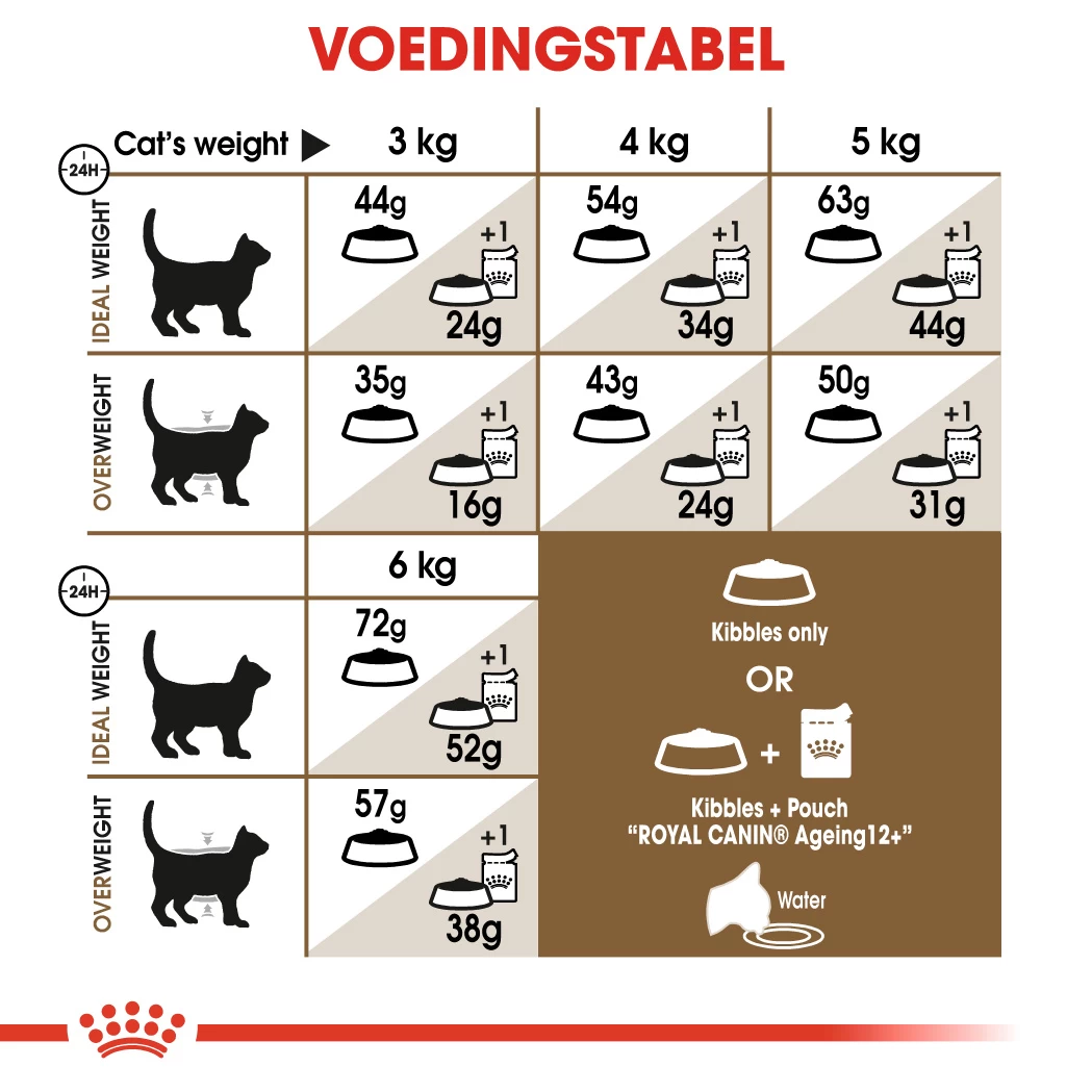 Royal Canin Ageing Sterilised 12+ Pour Chat 4kg 4 Royal Canin Ageing Sterilised 12+ Pour Chat 4kg – Image 2