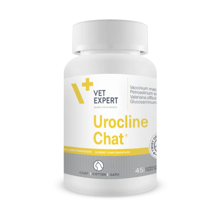 UROCLINE Chat 6 UROCLINE Chat – Image 4