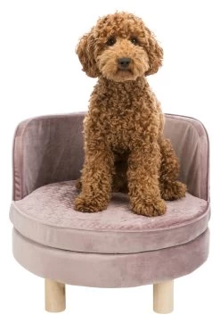 Trixie Sofa Livia Ø 48 × 40 Cm 9 Trixie Sofa Livia Ø 48 × 40 Cm -Alimen Tation Chats 7cf804d07c0b98da47144c98fcd7ba8b2506d81134b4c31cdb0a08f1b7e275db
