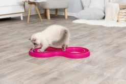 Trixie Jeu Pour Chat Flashing Ball Race 65 X 31 Cm -Alimen Tation Chats 92edef64fa1673f9ad39d2ed5c93ab26b693b9000b77e9bf1adc99d68473fd0b
