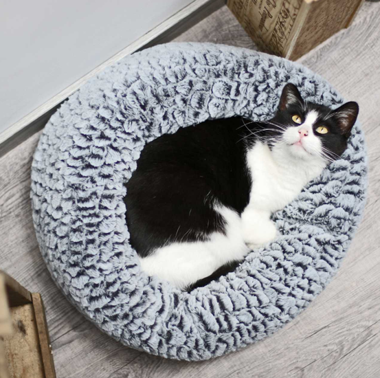 Alimen Tation Chats -Alimen Tation Chats BLMCD7EMYMIF3PA95W3