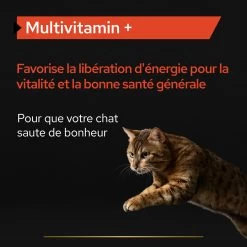 Purina PRO PLAN MULTIVITAMINS+ CHAT ALIMENT COMPLEMENTAIRE - 60G -Alimen Tation Chats PRO PLAN MULTIVITAMINS CAT SUPPLEMENT 60G 5 FR