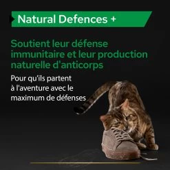 Purina PRO PLAN NATURAL DEFENCES+ CHAT ALIMENT COMPLEMENTAIRE - 60G 17 Purina PRO PLAN NATURAL DEFENCES+ CHAT ALIMENT COMPLEMENTAIRE - 60G -Alimen Tation Chats PRO PLAN NATURAL DEFENCES CAT SUPPLEMENT 60G 4 FR