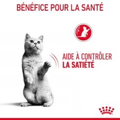 Royal Canin Appetite Control En Sauce Pour Chat 12 Sachets De 85g 22 Royal Canin Appetite Control En Sauce Pour Chat 12 Sachets De 85g -Alimen Tation Chats Royal Canin Appetite Control Care Gravy Chat FR 08