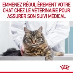 Royal Canin Appetite Control En Sauce Pour Chat 12 Sachets De 85g 26 Royal Canin Appetite Control En Sauce Pour Chat 12 Sachets De 85g -Alimen Tation Chats Royal Canin Appetite Control Care Gravy Chat FR 12