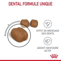 Royal Canin Dental Care Pour Chat 3,5kg 15 Royal Canin Dental Care Pour Chat 3,5kg -Alimen Tation Chats Royal Canin Dental Care Chat FR 04