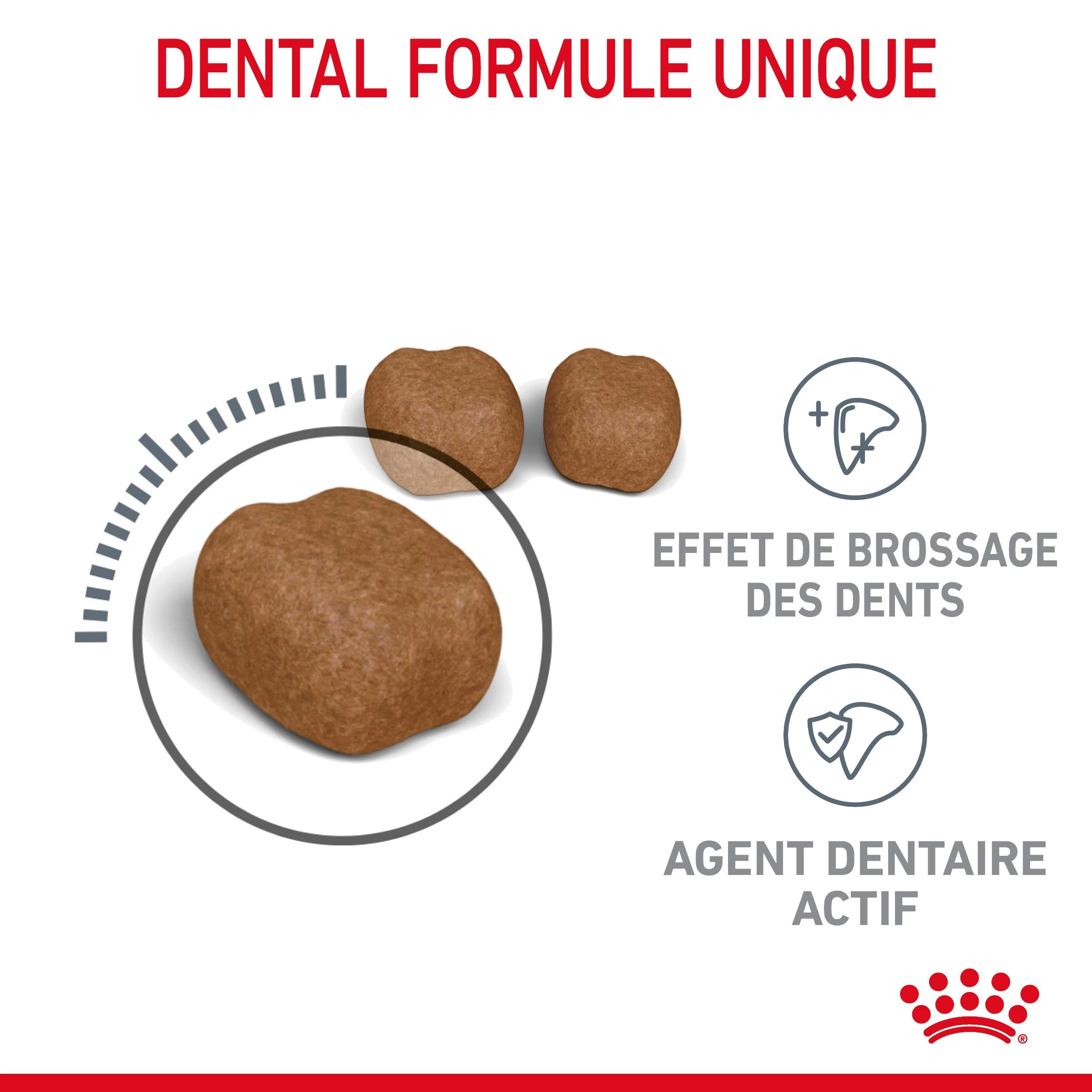 Royal Canin Dental Care Pour Chat 3,5kg 6 Royal Canin Dental Care Pour Chat 3,5kg – Image 4