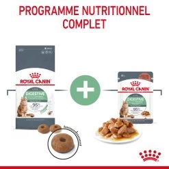 Royal Canin Digestive Care Pour Chat 10kg -Alimen Tation Chats Royal Canin Digestive Care Chat FR 04 2