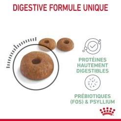 Royal Canin Digestive Care Pour Chat 10kg -Alimen Tation Chats Royal Canin Digestive Care Chat FR 05 2
