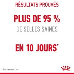 Royal Canin Digestive Care Pour Chat 10kg -Alimen Tation Chats Royal Canin Digestive Care Chat FR 06 2