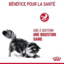Royal Canin Digestive Care Pour Chat 2kg -Alimen Tation Chats Royal Canin Digestive Care Chat FR 07