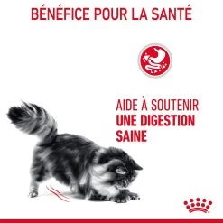 Royal Canin Digestive Care En Sauce Pour Chat 12 Sachets De 85g -Alimen Tation Chats Royal Canin Digestive Care Gravy Chat FR 09