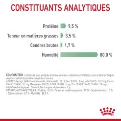 Royal Canin Digestive Care En Sauce Pour Chat 12 Sachets De 85g -Alimen Tation Chats Royal Canin Digestive Care Gravy Chat FR 10