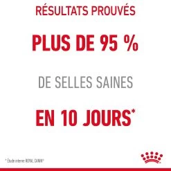 Royal Canin Digestive Care En Sauce Pour Chat 12 Sachets De 85g -Alimen Tation Chats Royal Canin Digestive Care Gravy Chat FR 14