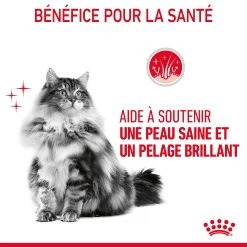Royal Canin Hair & Skin Care En Sauce Pour Chat 12 Sachets De 85g -Alimen Tation Chats Royal Canin Hair Skin Care Gravy Chat FR 08
