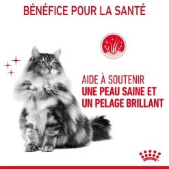 Royal Canin Hair & Skin Care Pour Chat 2kg -Alimen Tation Chats Royal Canin Hair skin Care Chat FR 07 1