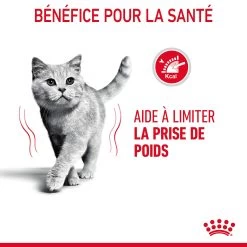 Royal Canin Light Weight Care Pour Chat 8kg 19 Royal Canin Light Weight Care Pour Chat 8kg -Alimen Tation Chats Royal Canin Light Weight Chat FR 07 2