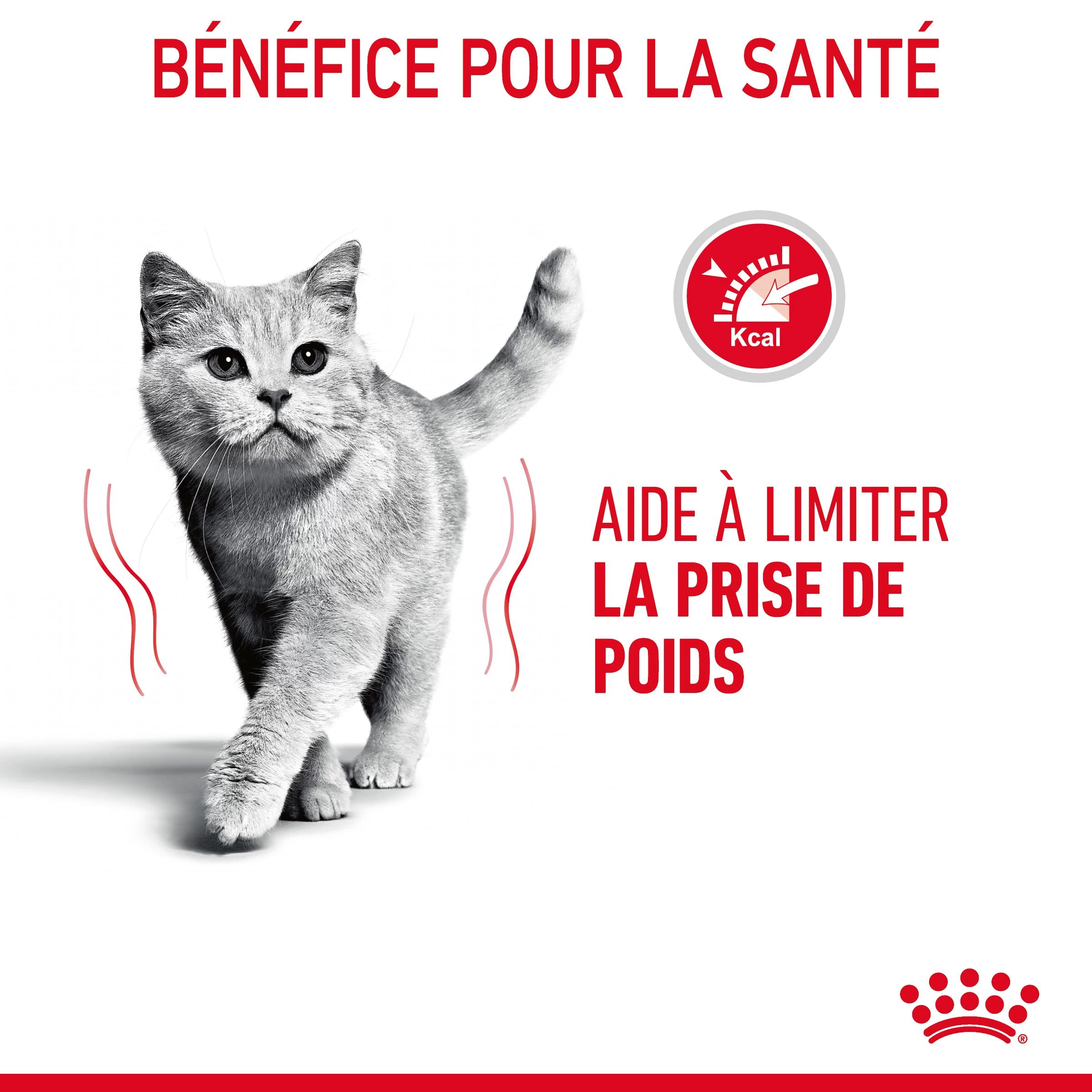 Royal Canin Light Weight Care Pour Chat 8kg 9 Royal Canin Light Weight Care Pour Chat 8kg – Image 7