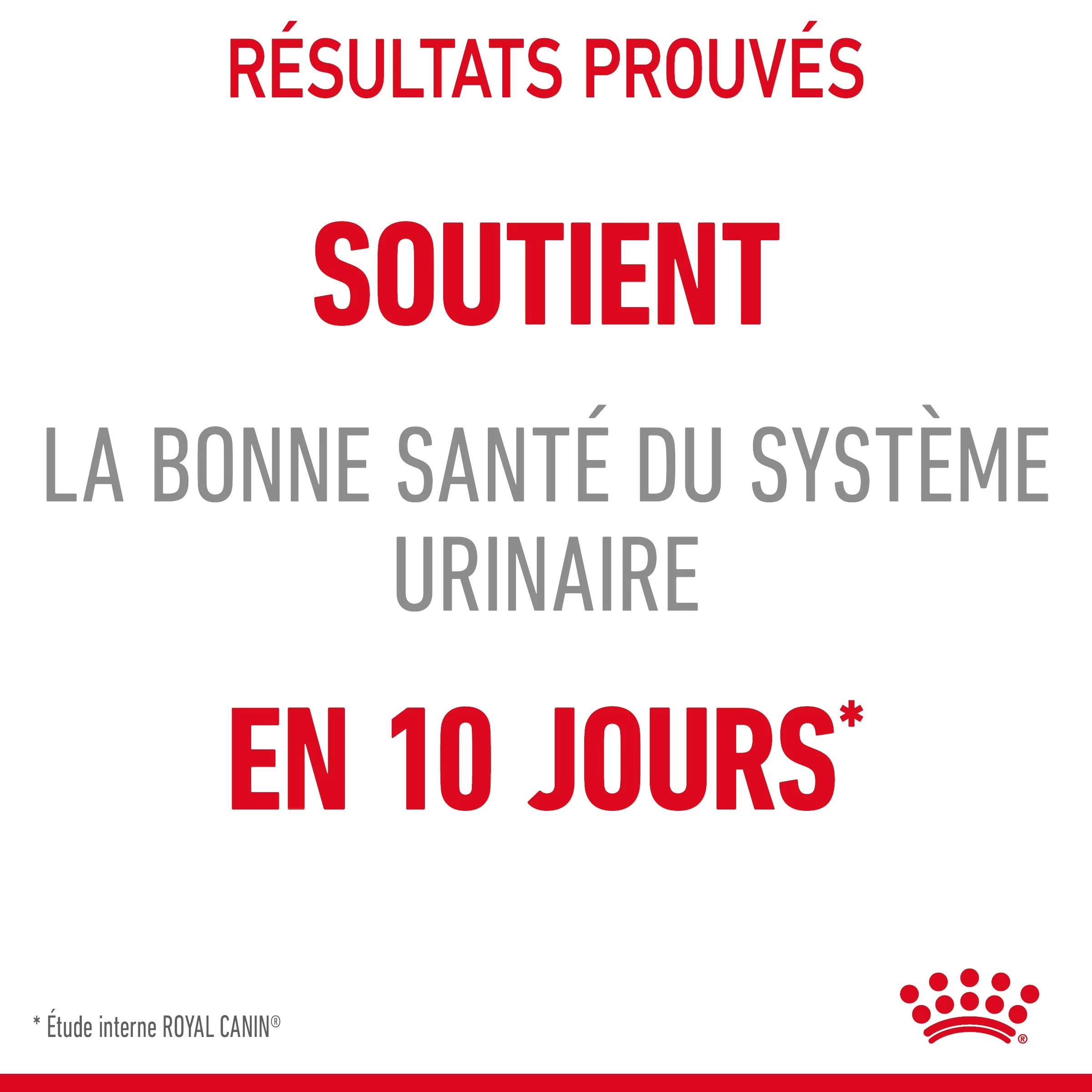 Royal Canin Urinary Care Pour Chat 10kg 8 Royal Canin Urinary Care Pour Chat 10kg – Image 6