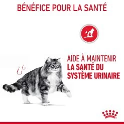 Royal Canin Urinary Care Pour Chat 4kg -Alimen Tation Chats Royal Canin Urinary Care Chat FR 07 1
