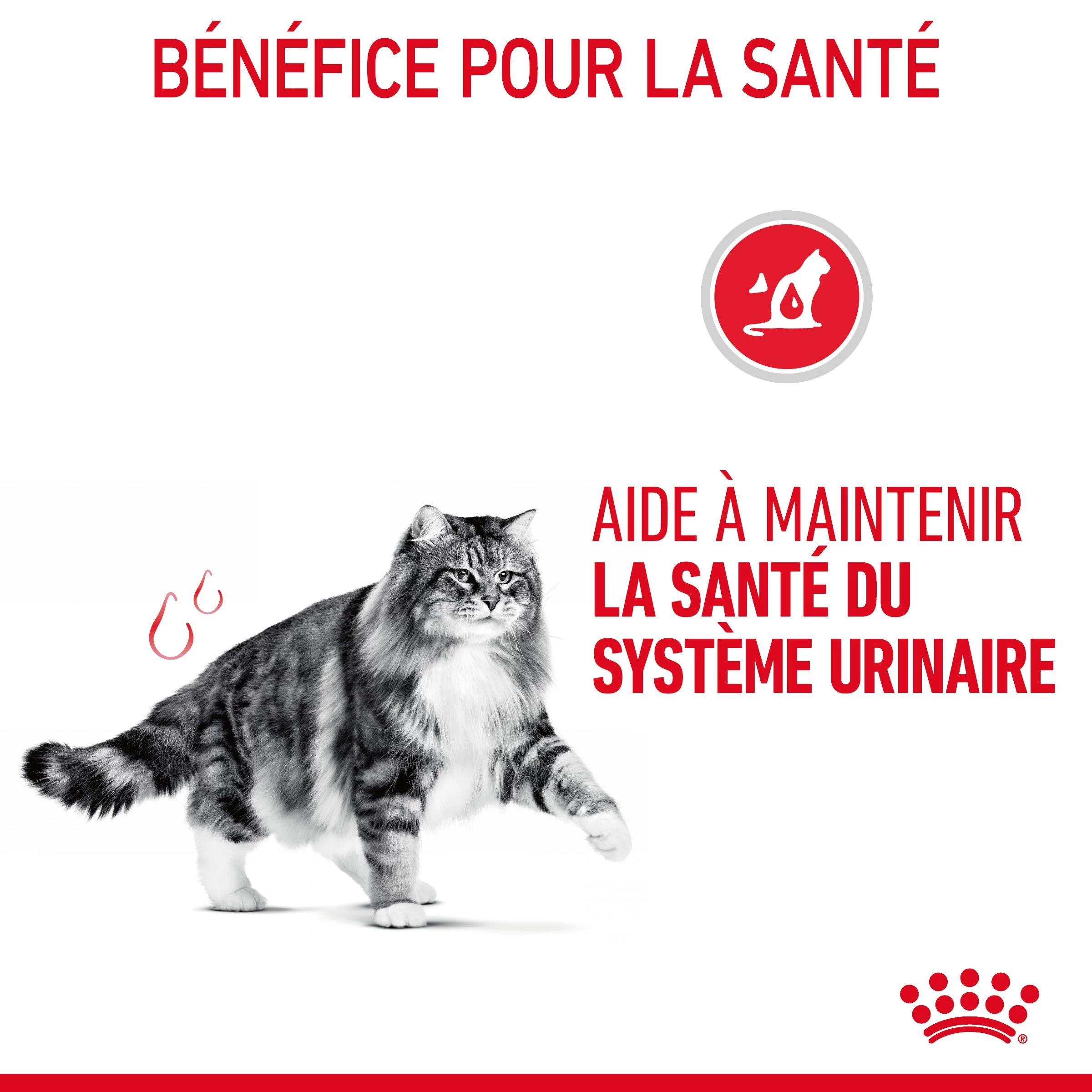 Royal Canin Urinary Care Pour Chat 10kg 9 Royal Canin Urinary Care Pour Chat 10kg – Image 7