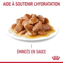 Royal Canin Urinary Care En Sauce Pour Chat 12 Sachets De 85g 23 Royal Canin Urinary Care En Sauce Pour Chat 12 Sachets De 85g -Alimen Tation Chats Royal Canin Urinary Care Gravy Chat FR 08