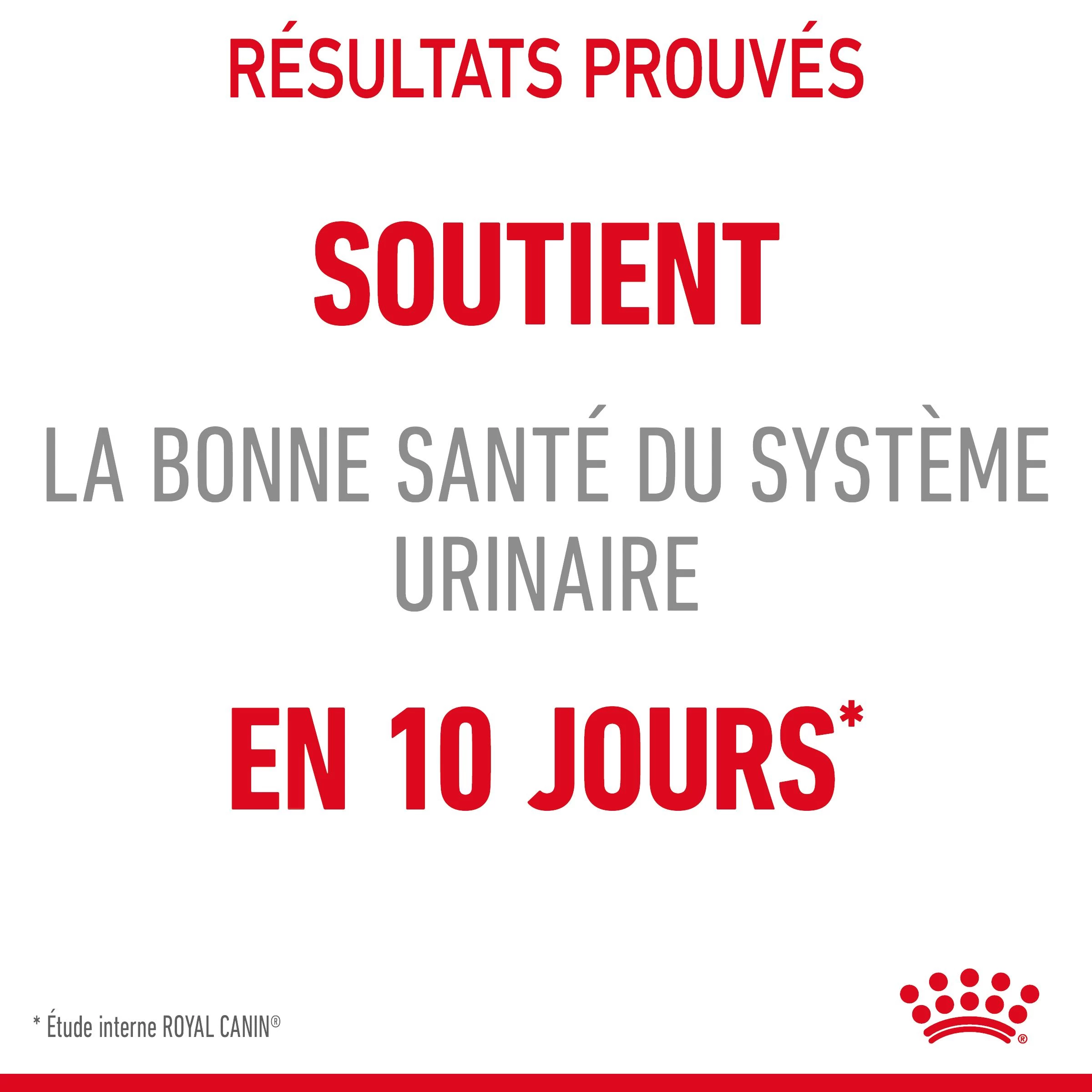 Royal Canin Urinary Care En Sauce Pour Chat 12 Sachets De 85g 16 Royal Canin Urinary Care En Sauce Pour Chat 12 Sachets De 85g – Image 14