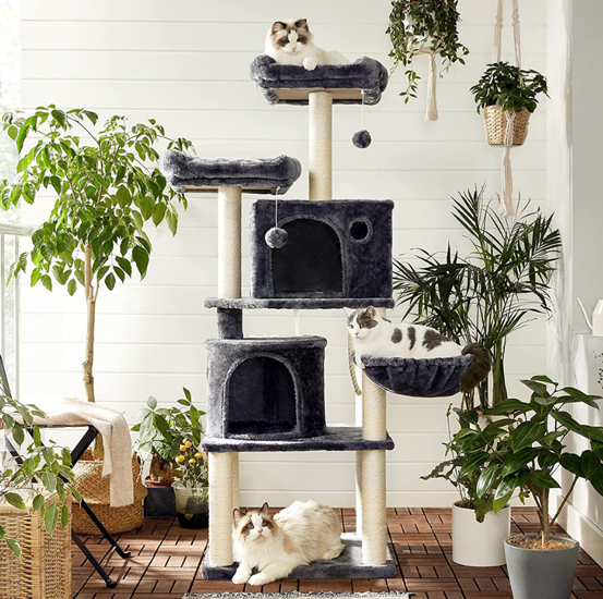 Alimen Tation Chats -Alimen Tation Chats YW92PER5LQ203L5M4