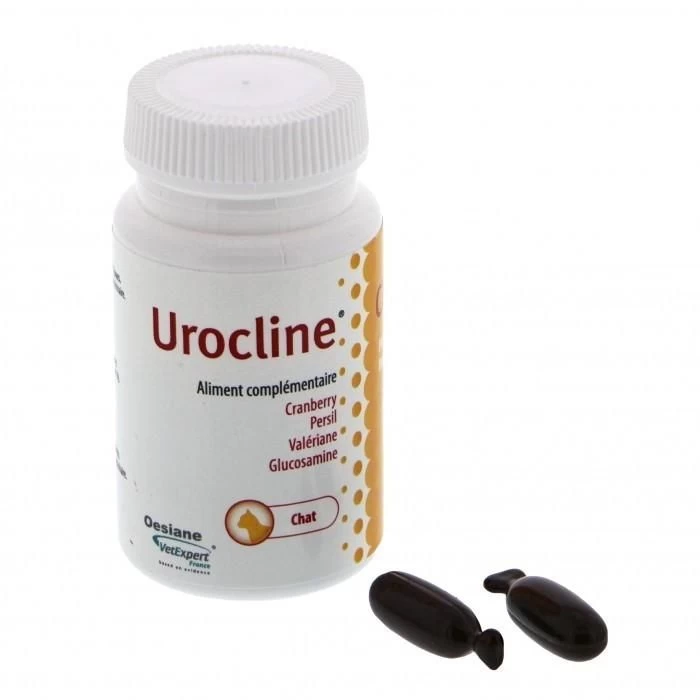 UROCLINE Chat 5 UROCLINE Chat – Image 3