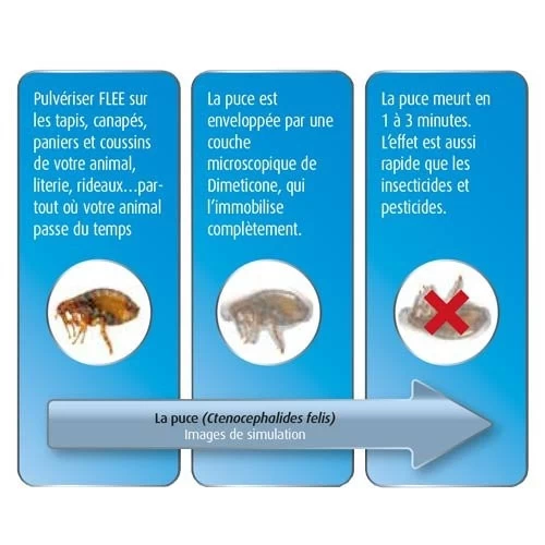 Flee Aerosol 400ml 4 Flee Aerosol 400ml – Image 2