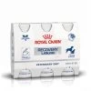 Royal Canin Recovery Liquid 3 Flacons De 200ml -Alimen Tation Chats b42bd355c32bf4ad4306b22423a45fe3ea75d26760554b8be10393c3f38a4e18