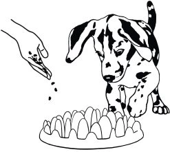 Flamingo Gamelle Anti-glouton Northmate Green Mini 29x22,5x7cm -Alimen Tation Chats b74acb27fc8671dd3a6a347beb8b4d678a9f6bea25d7cfd99894003e8e580dae