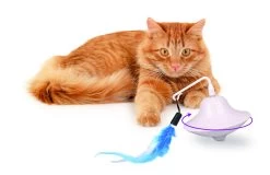 Flamingo Jouet Chat Scully Electro Dia. 9,7cm -Alimen Tation Chats b9844104c47250fc7f535f3590b1b4419bc7e40968ece37baf777bb09b2f8ccf