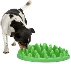 Flamingo Gamelle Anti-glouton Northmate Green Vert 40x30x10cm -Alimen Tation Chats ca21cf77c020913a229f12bbf00744c386edd36c219b18ff30946abedd6b8831