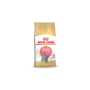 Royal Canin Britisch Shorthair Chatton 10kg -Alimen Tation Chats cb38a4424dd378b65a2236b5077b5517f32992d83fc734e96c0ae6a642b79c0b