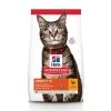 Hill's Science Plan Adult Croquettes Pour Chat Au Poulet -Alimen Tation Chats df78e6ded7254ec7d1fd9efb19b13a285a29c388e3dec3d383022d4d1f3af2f6